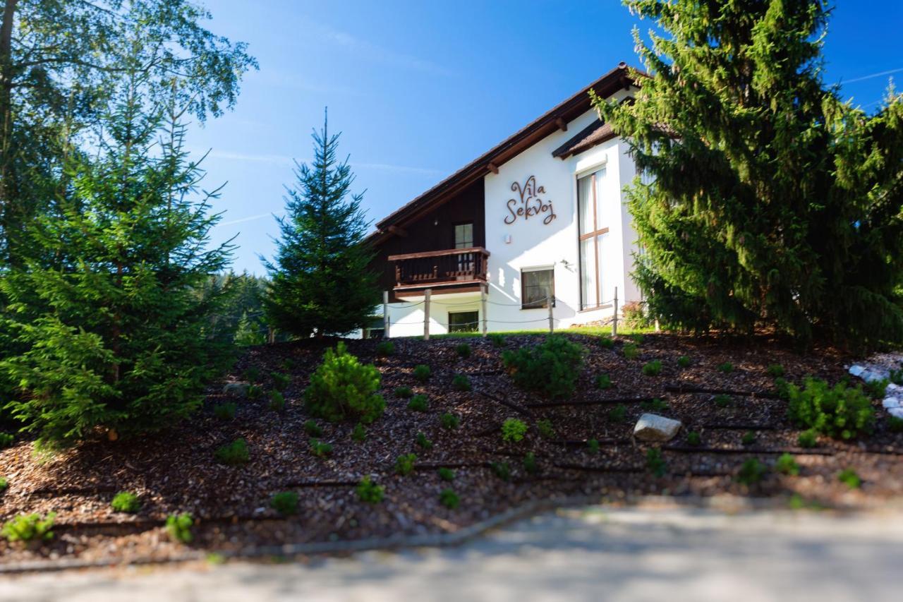 Vila Sekvoj Harrachov Luaran gambar