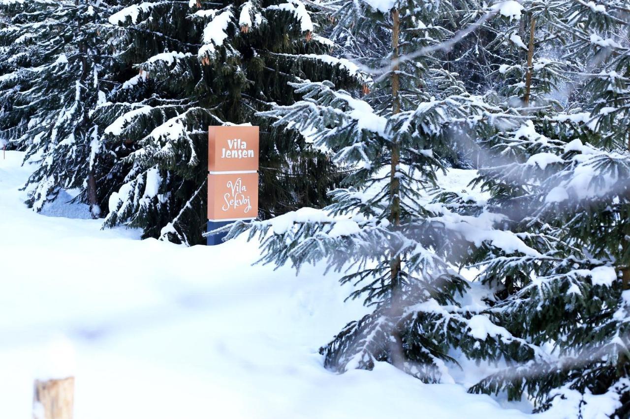 Vila Sekvoj Harrachov Luaran gambar